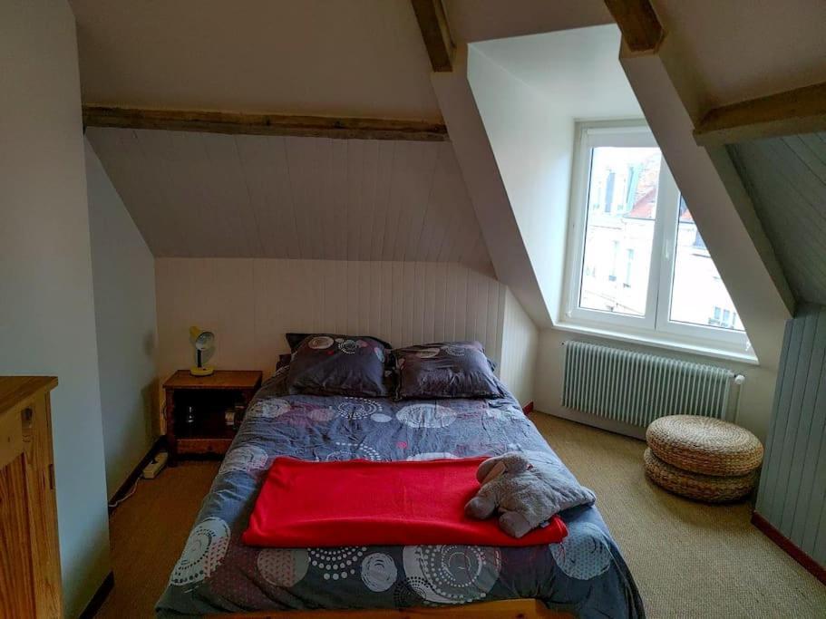 Maison Conviviale Aux Abords De La Vieille Ville Boulogne-sur-Mer Eksteriør billede